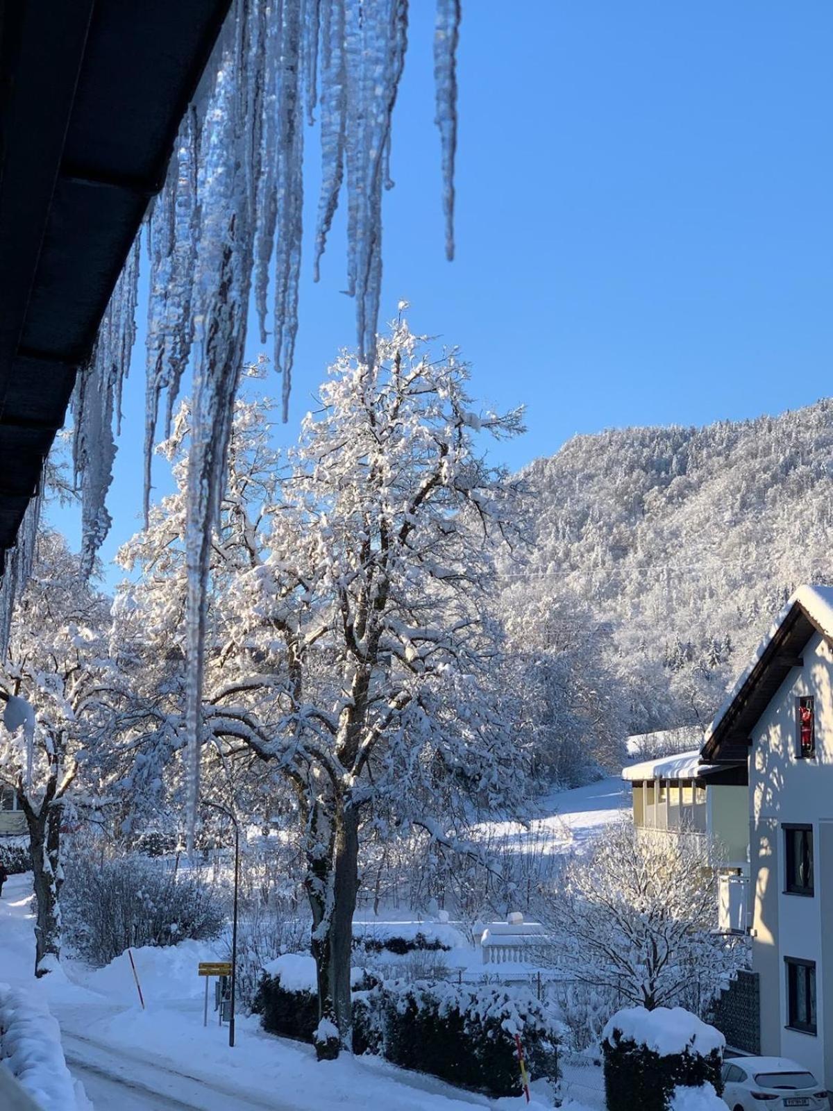 Happystayapartments Villach Dış mekan fotoğraf